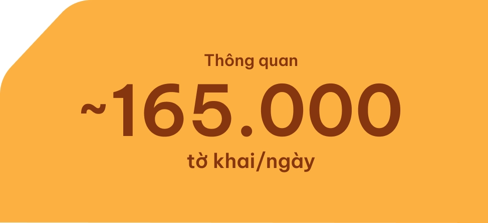Trang trí dịch vụ hải quan